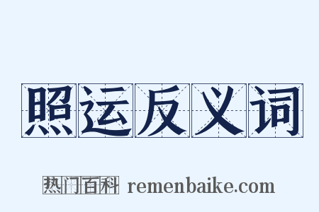 照运反义词是什么意思的图片
